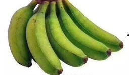 郫县网红吃瓜群微信,揭秘网络社交圈的趣味与争议