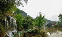 重庆南坪茶园最新爆料,揭秘新地标背后的故事