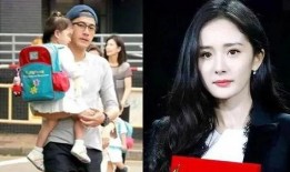 吃瓜爆料杨颖最新消息,吃瓜爆料揭露惊人真相！